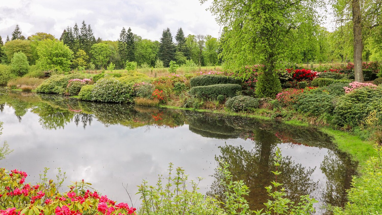 Photo of Others in West Calder