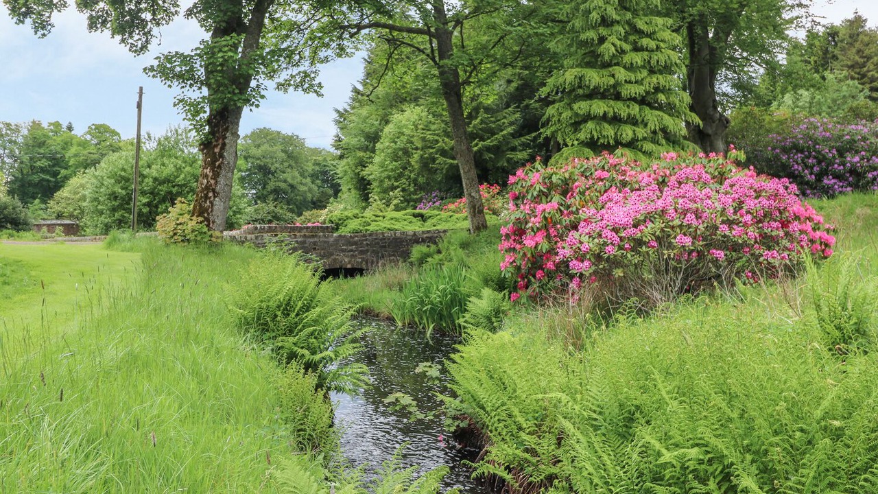 Photo of Others in West Calder