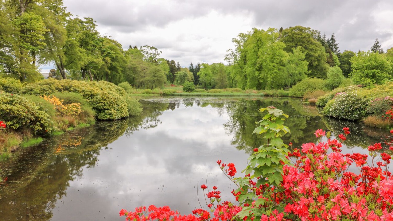 Photo of Others in West Calder