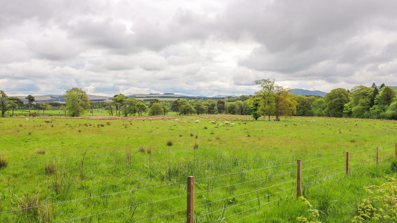 Photo of Others in West Calder