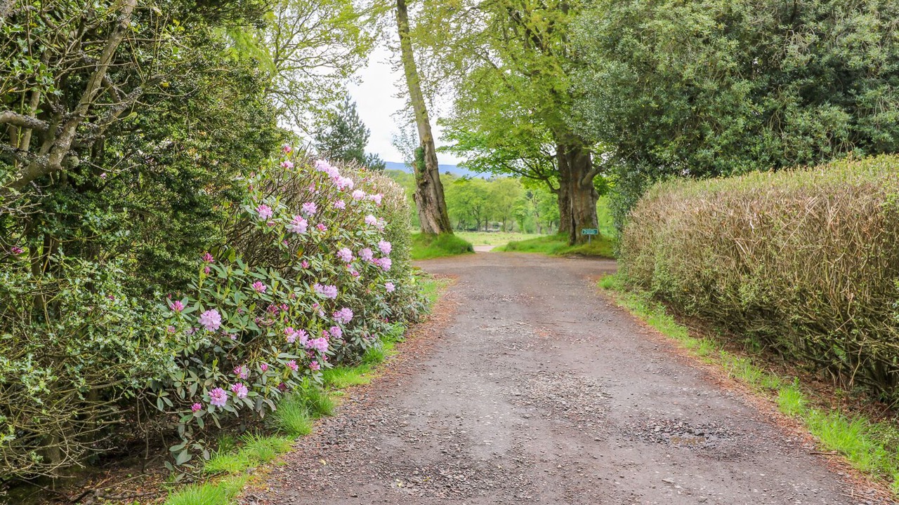 Photo of Others in West Calder