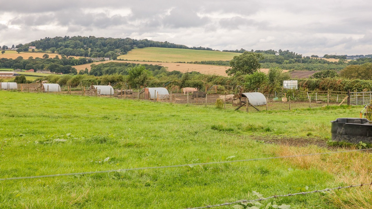 Photo of Others in Hoylandswaine