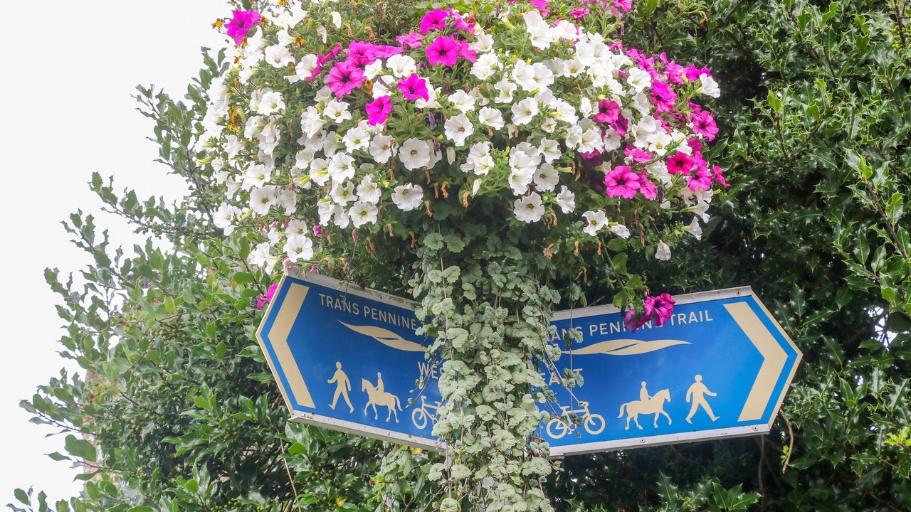 Photo of Others in Hoylandswaine