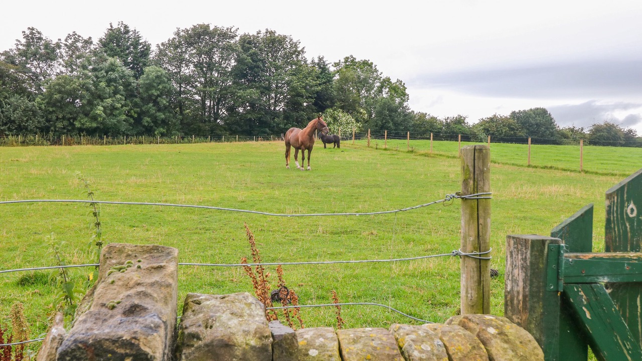 Photo of Others in Hoylandswaine