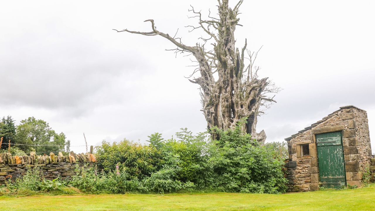 Photo of Others in Hoylandswaine