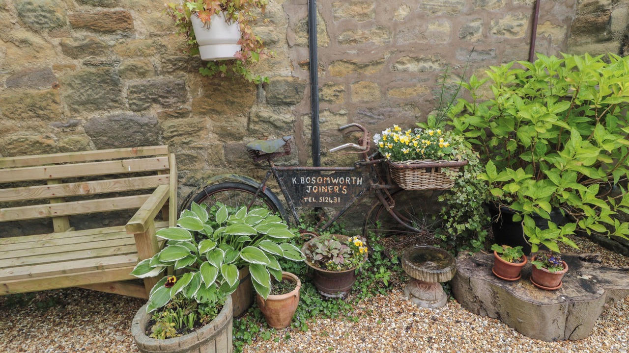 Photo of Others in Warkworth