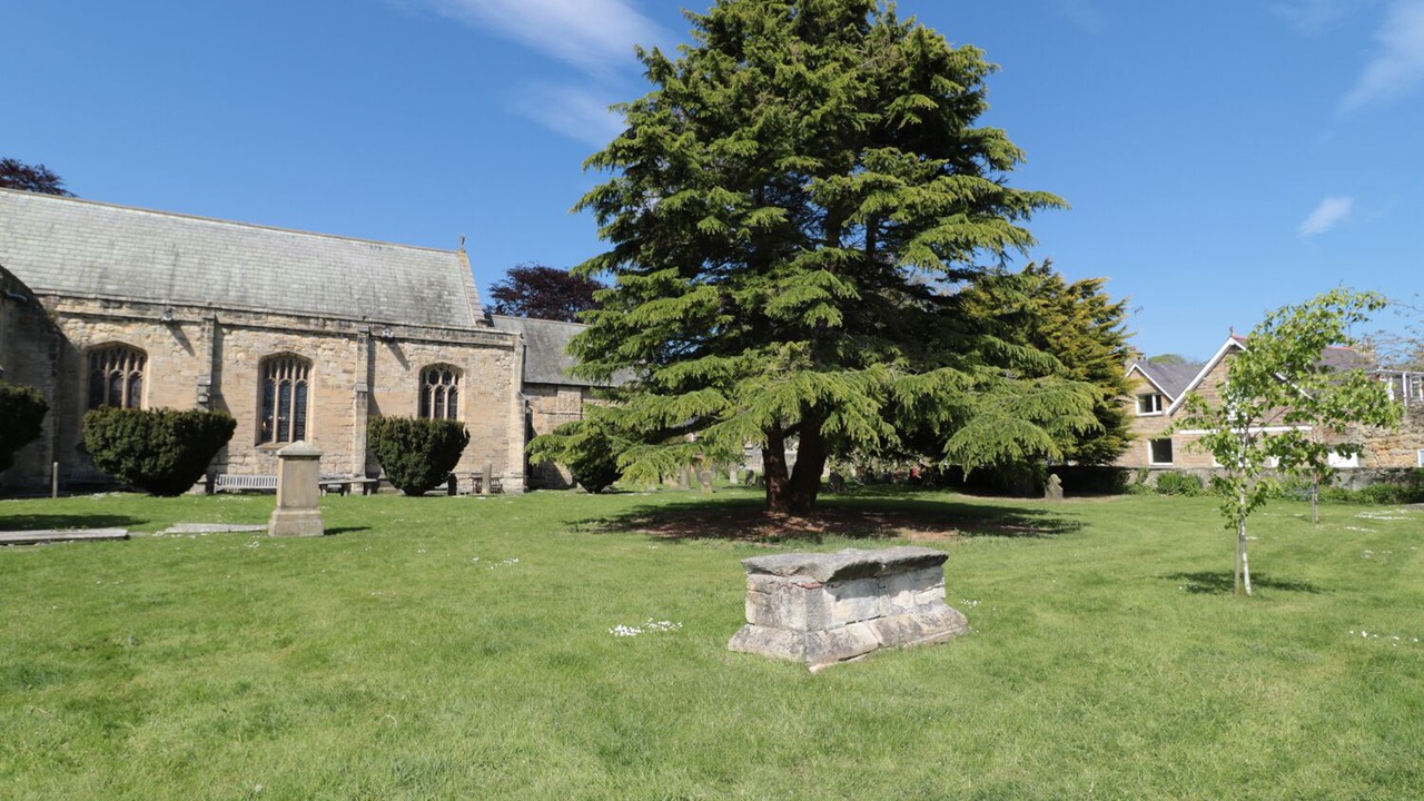 Photo of Others in Warkworth