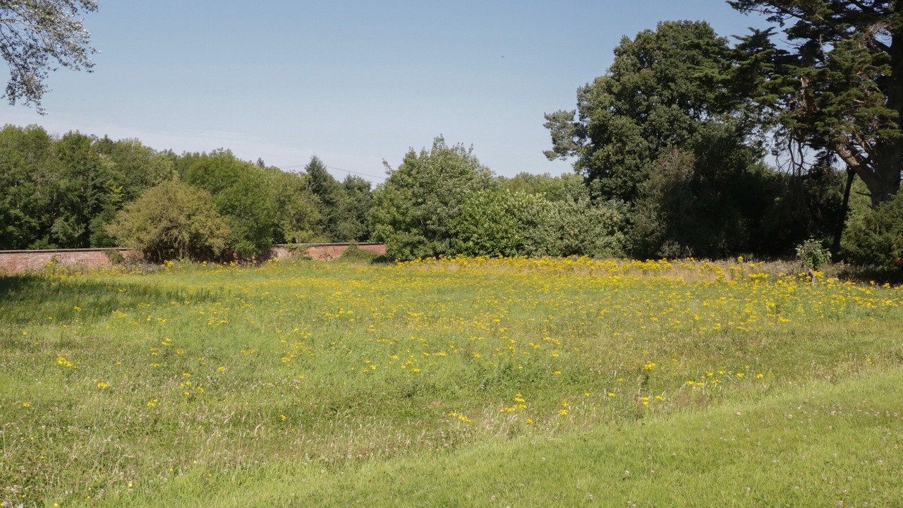 Photo of Others in Saint Asaph