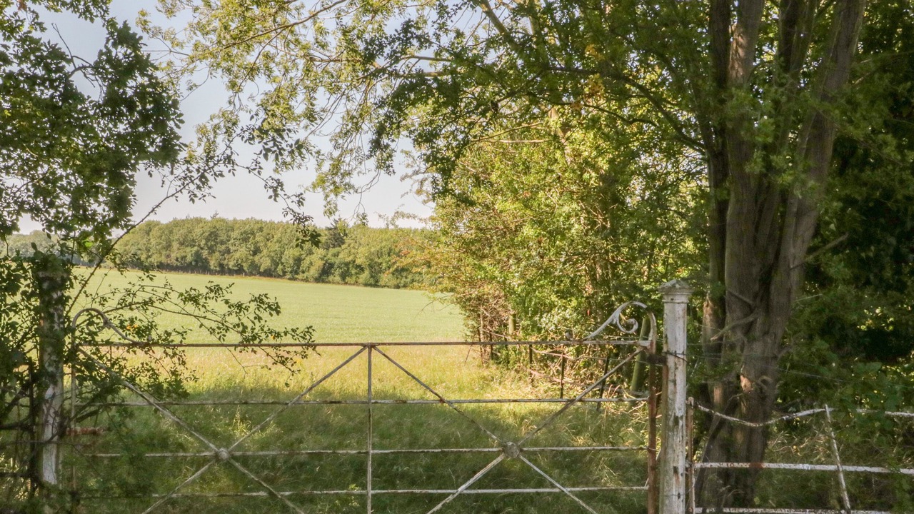 Photo of Others in Saint Asaph