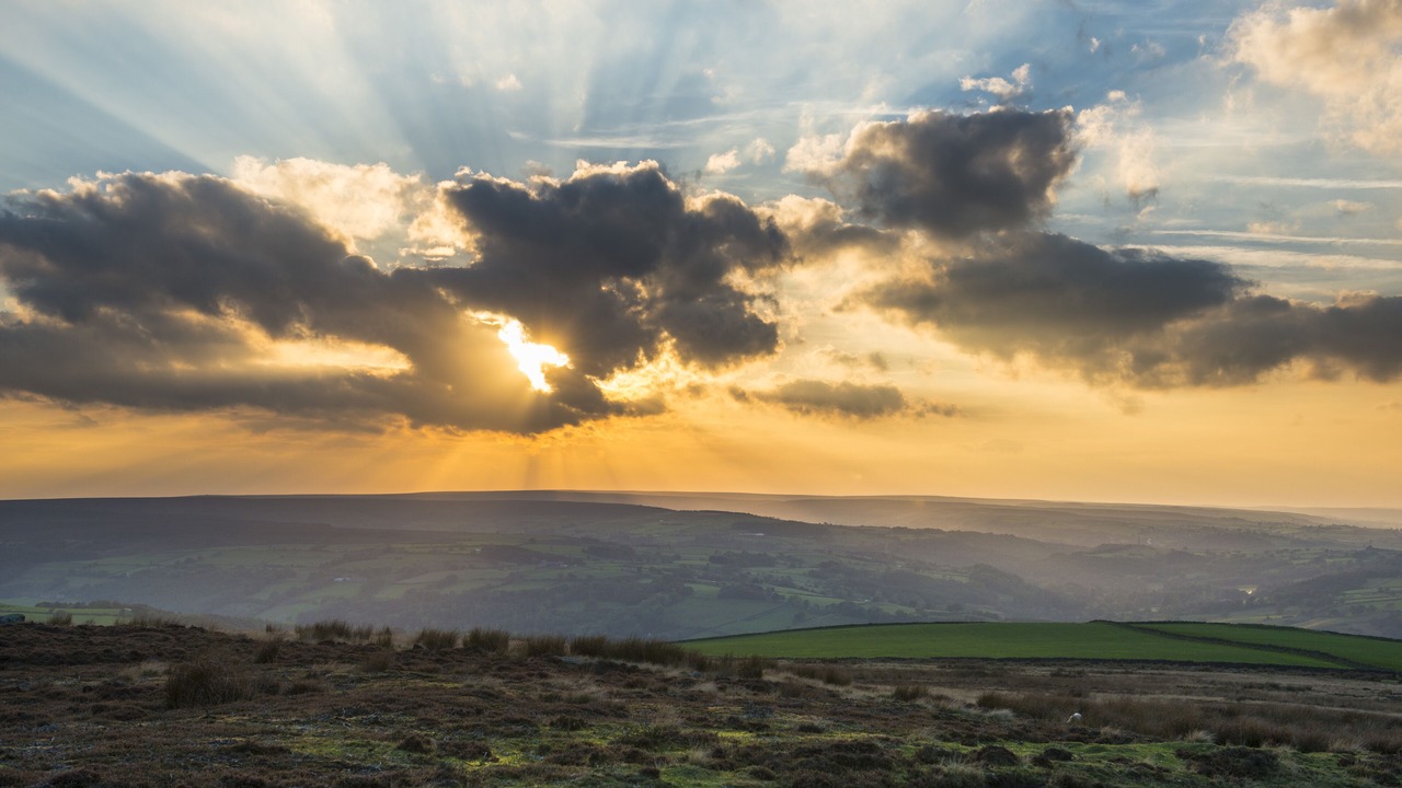 Photo of Others in Grosmont