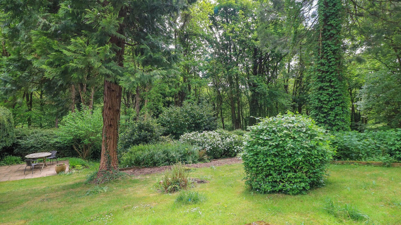 Photo of Outdoor in Chalford