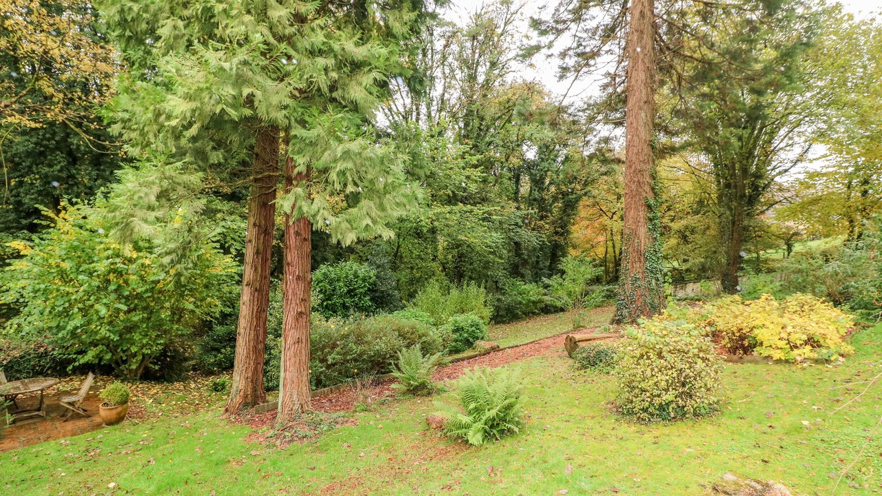 Photo of Others in Chalford