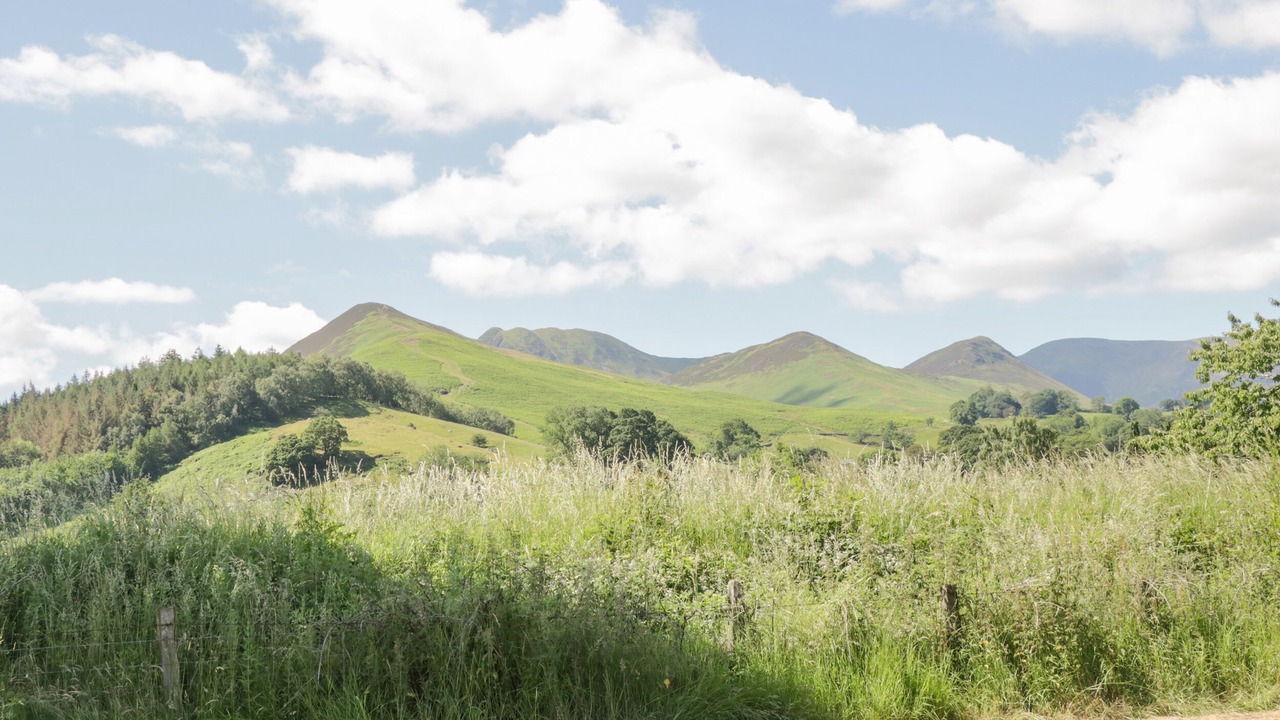 Photo of Others in Braithwaite