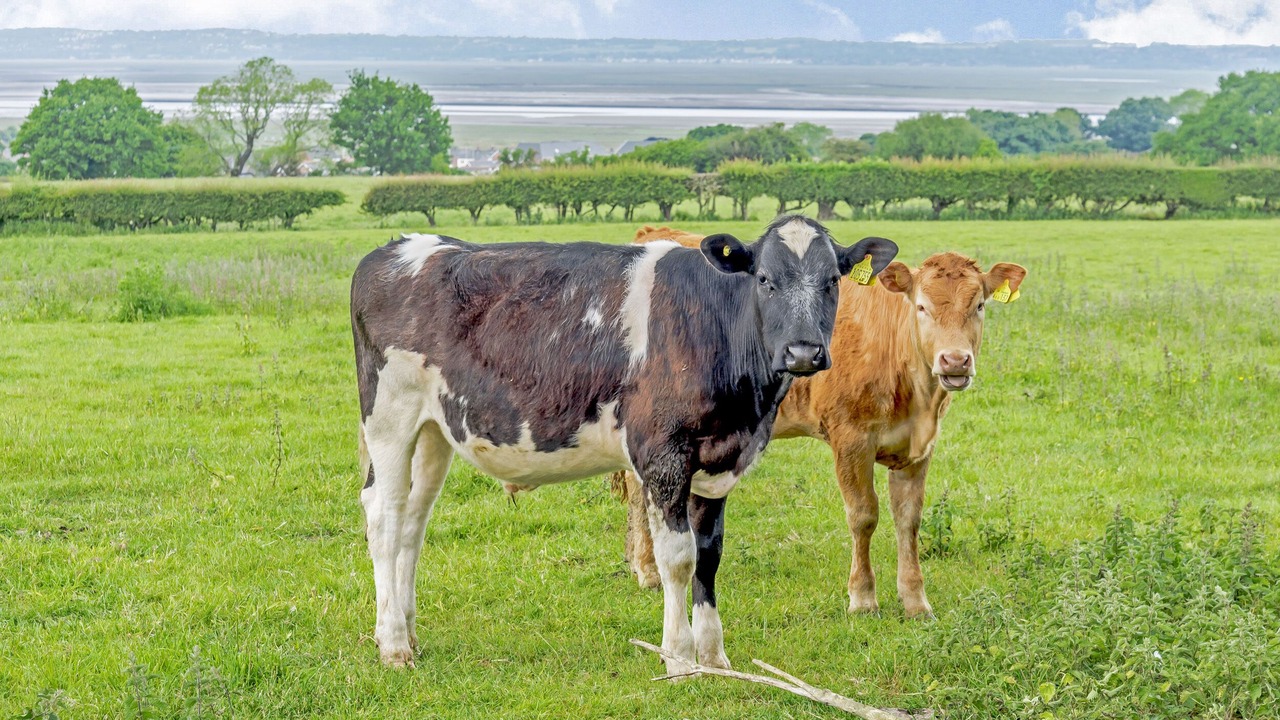 Photo of Others in Oakenholt