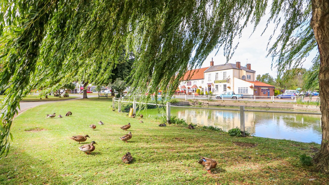 Photo of Others in Martham