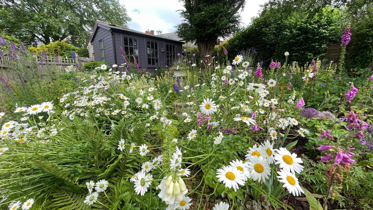 Photo of Others in Broadwindsor