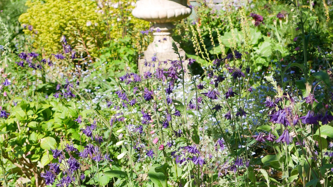 Photo of Others in Broadwindsor