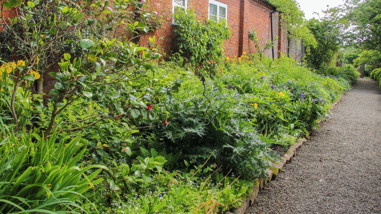 Photo of Others in Ludwel