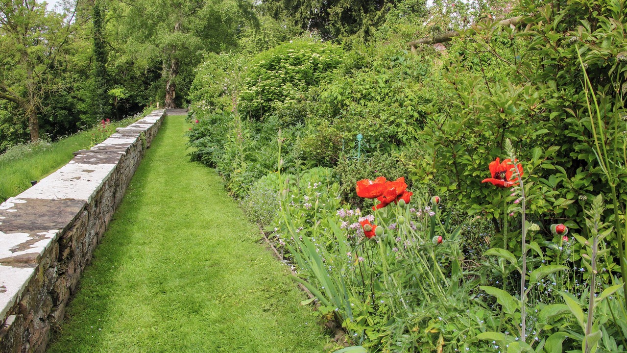 Photo of Others in Ludwel