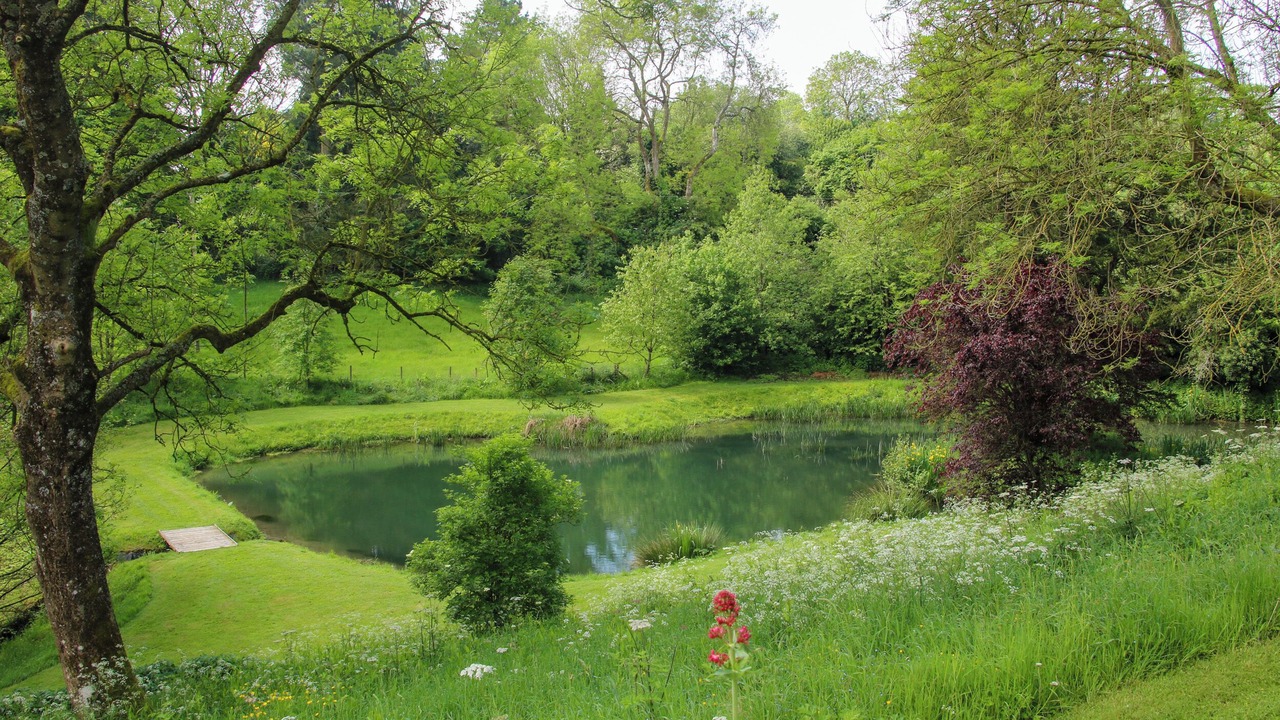 Photo of Others in Ludwel