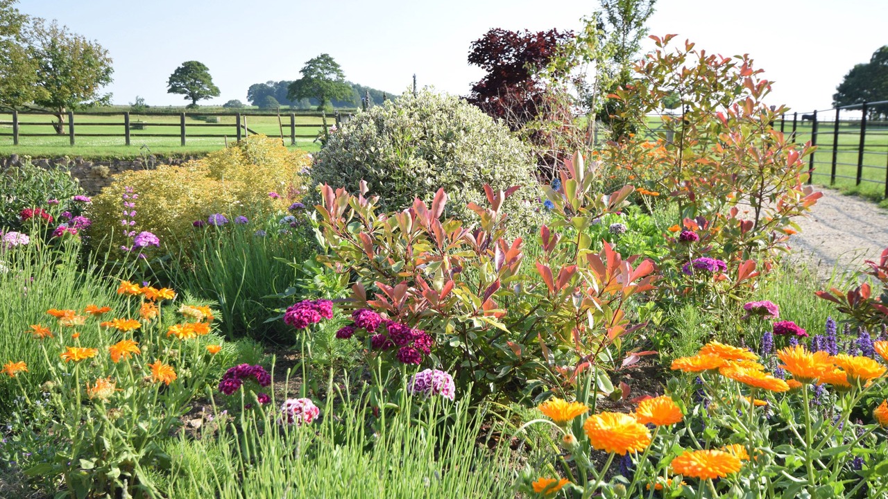 Photo of Others in Burythorpe