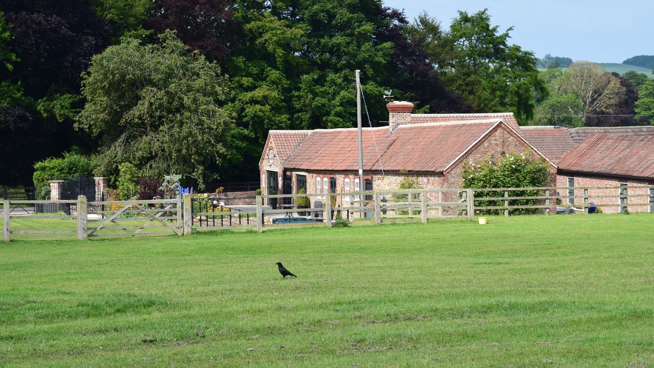 Photo of Others in Burythorpe