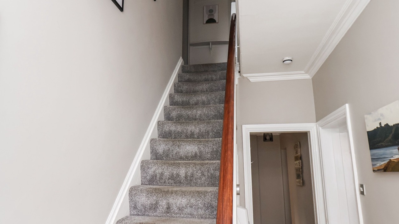 Photo of Others in Scarborough