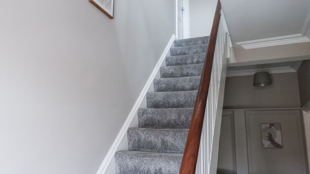 Photo of Others in Scarborough