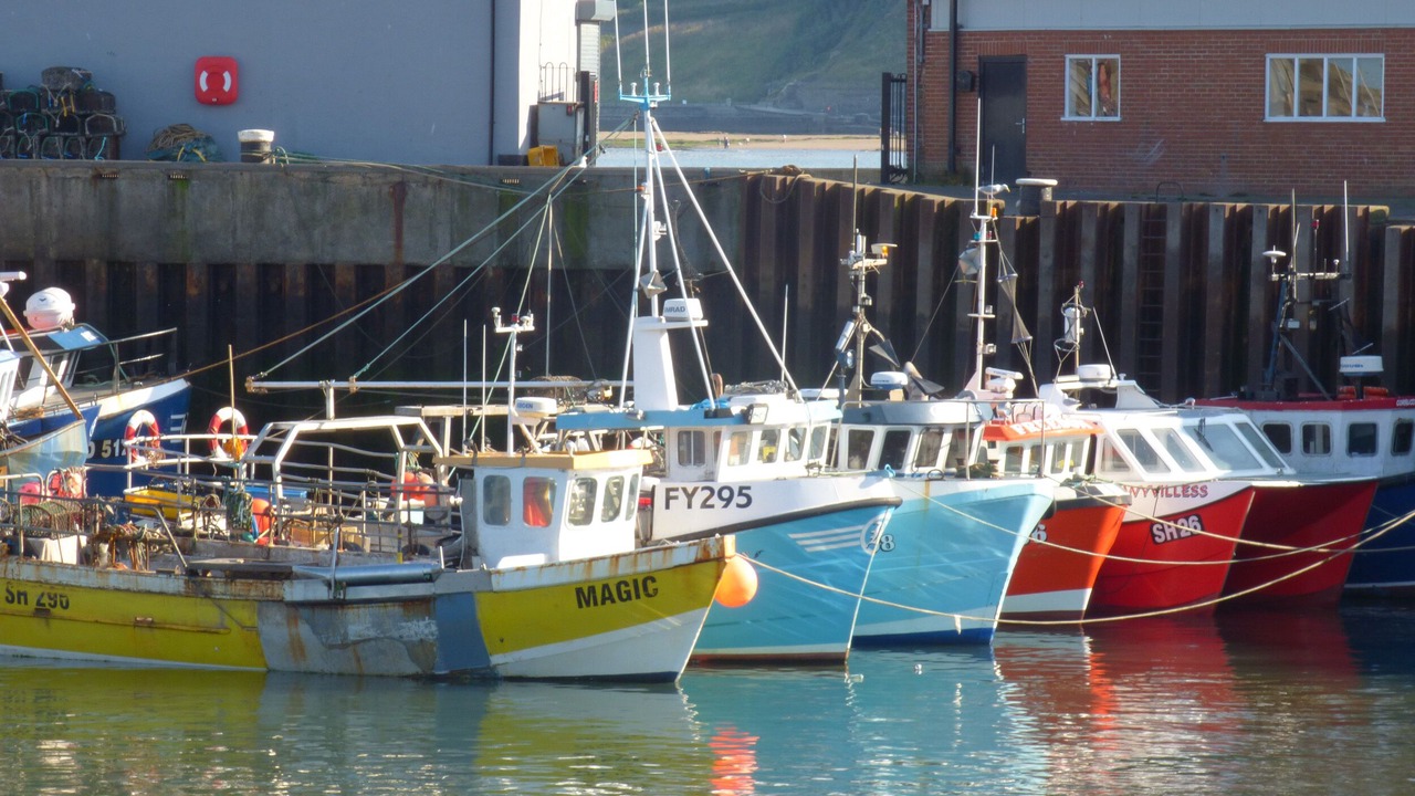 Photo of Outdoor in Scarborough