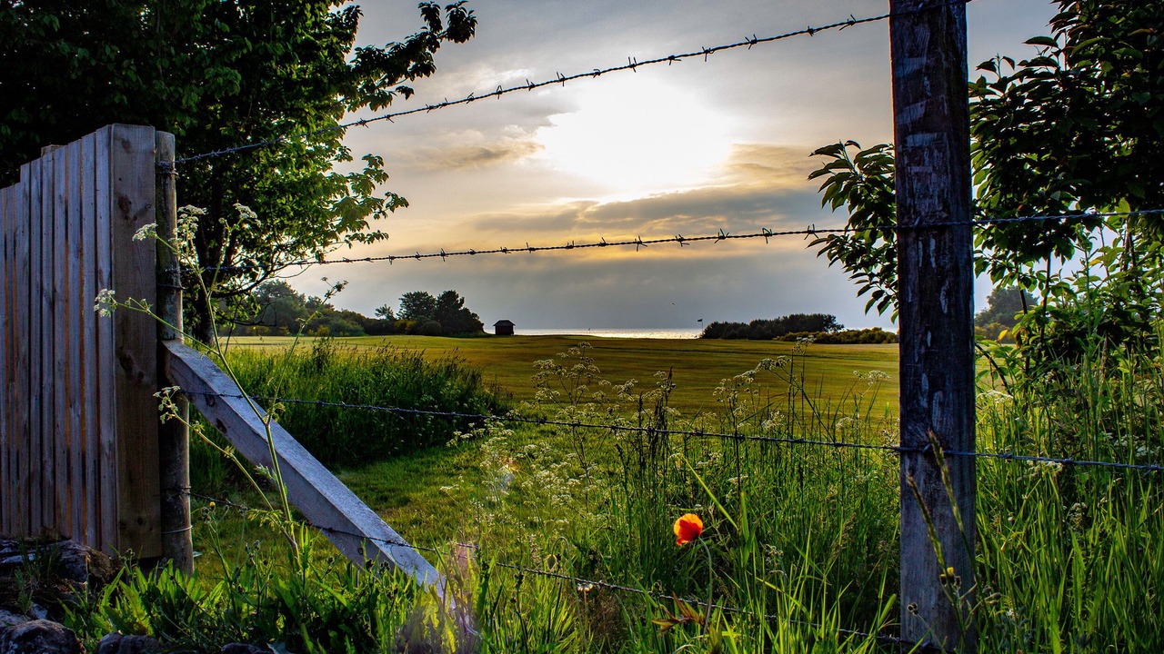 Photo of Others in Nairn