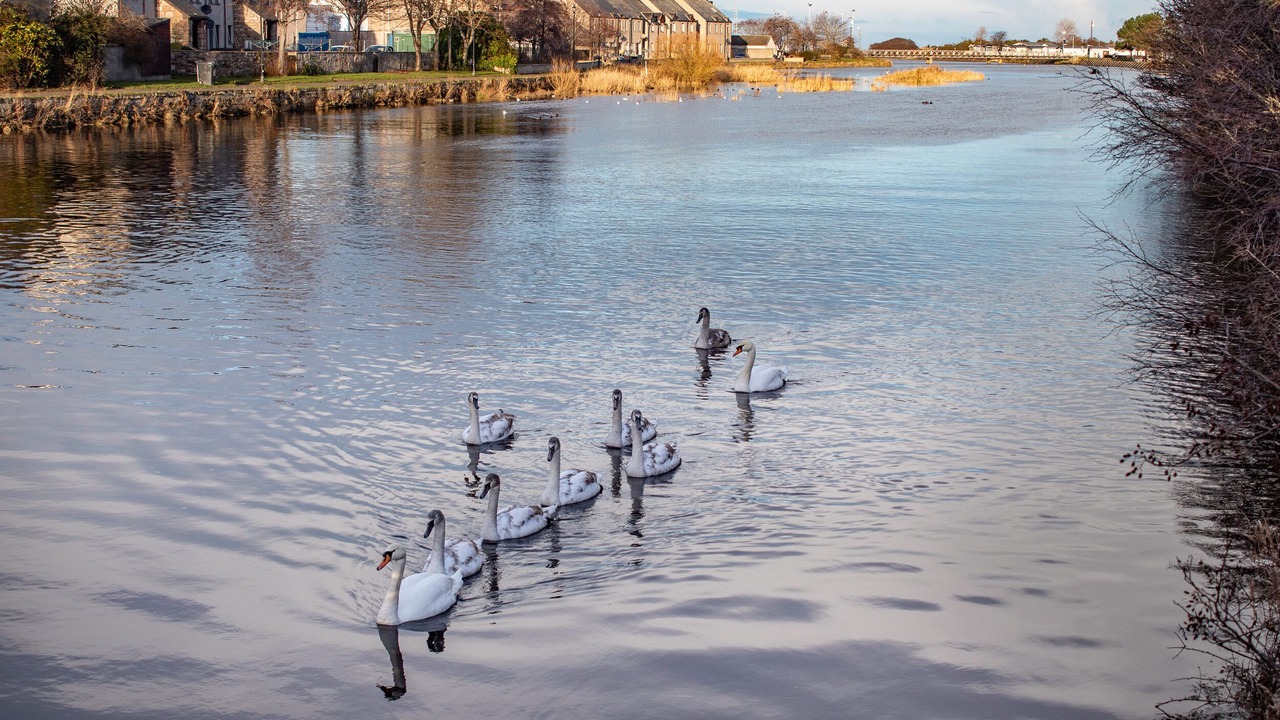 Photo of Others in Nairn