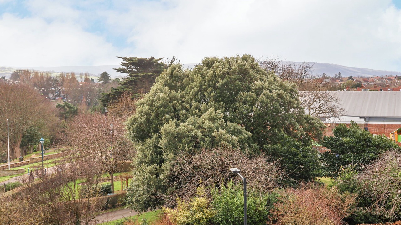 Photo of Others in Whitby