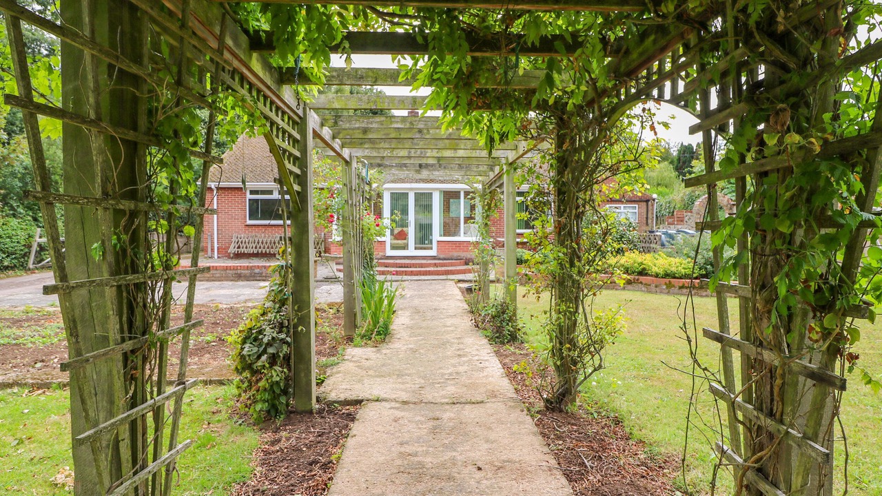 Photo of Others in Martin