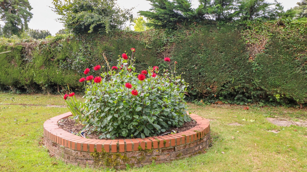 Photo of Others in Martin