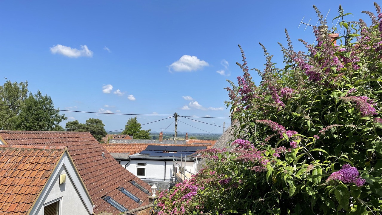 Photo of Others in Westbury