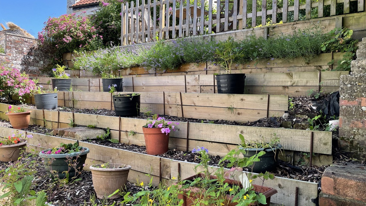 Photo of Others in Westbury