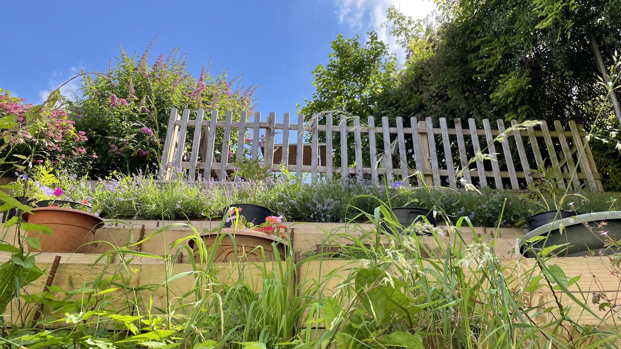 Photo of Others in Westbury