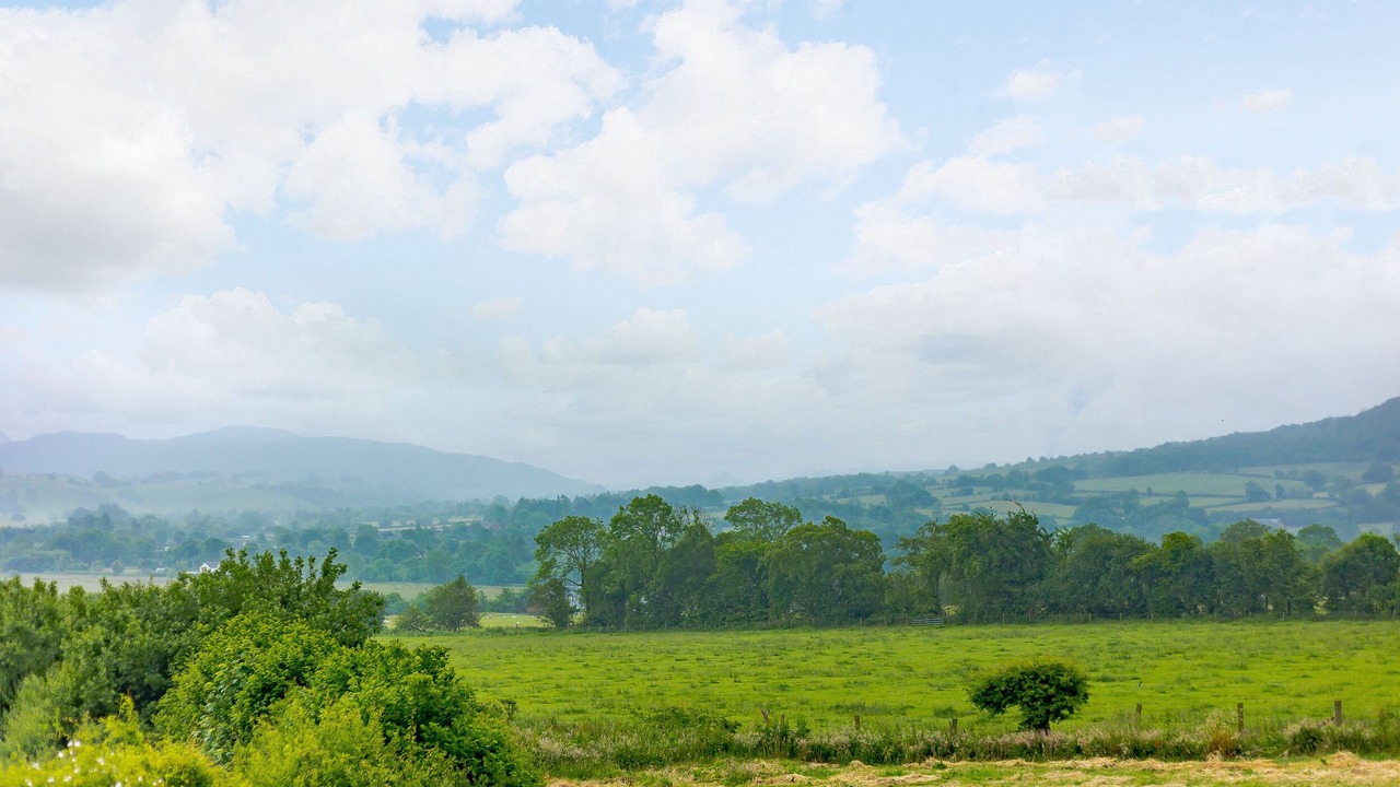 Photo of Others in Kingswood