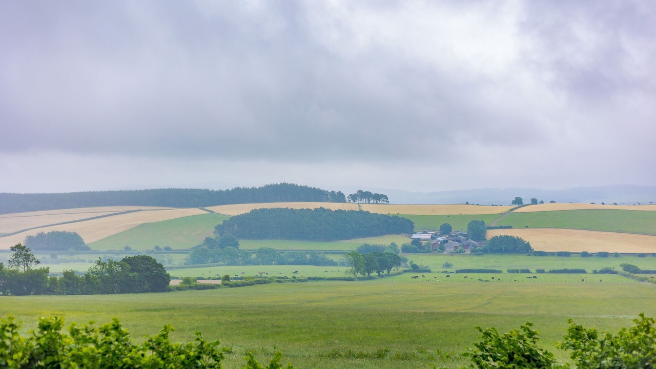 Photo of Others in Kingswood