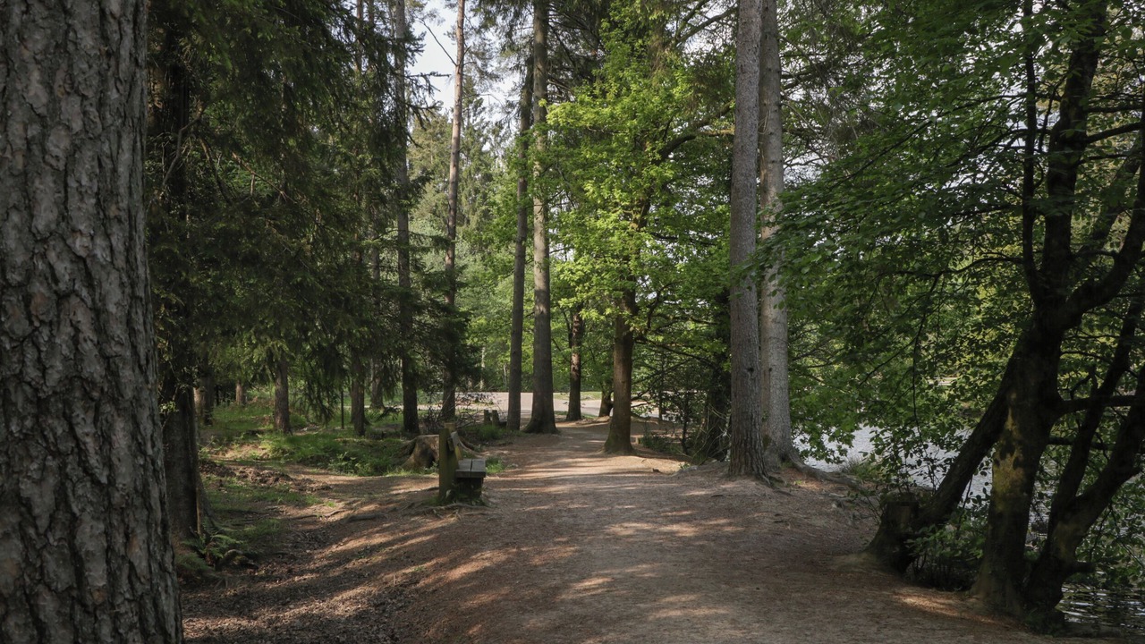 Photo of Others in Lydney