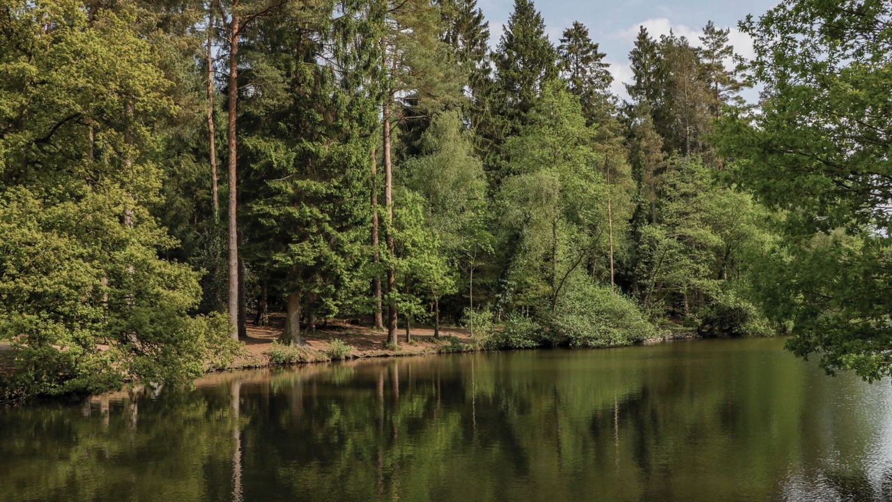 Photo of Others in Lydney