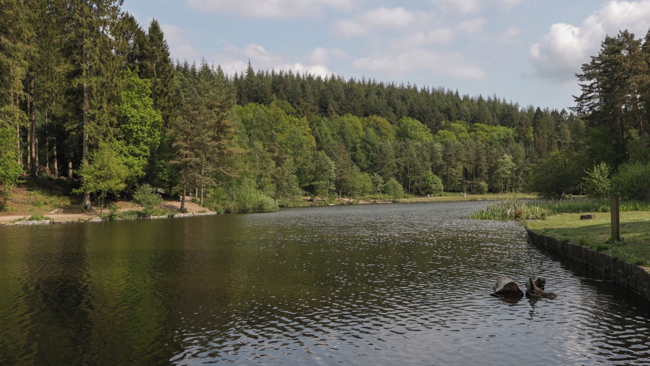 Photo of Others in Lydney