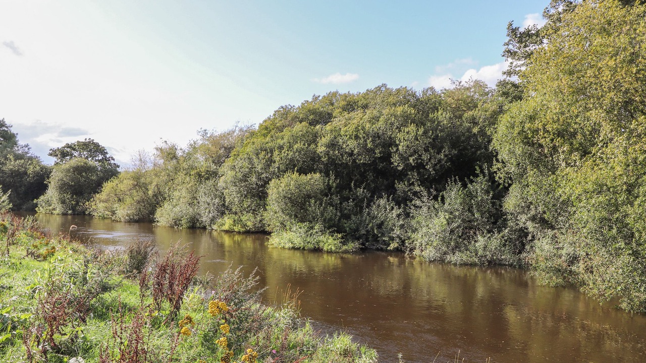Photo of Others in Llanymynech