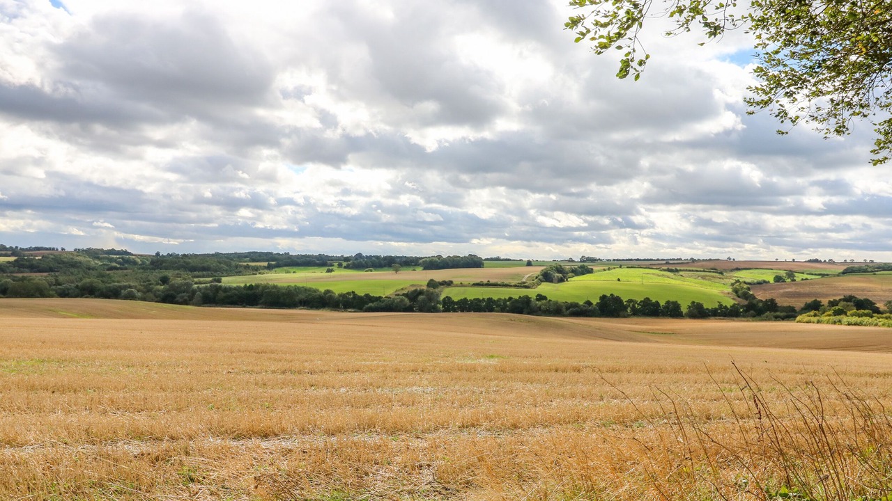 Photo of Others in West Ashby