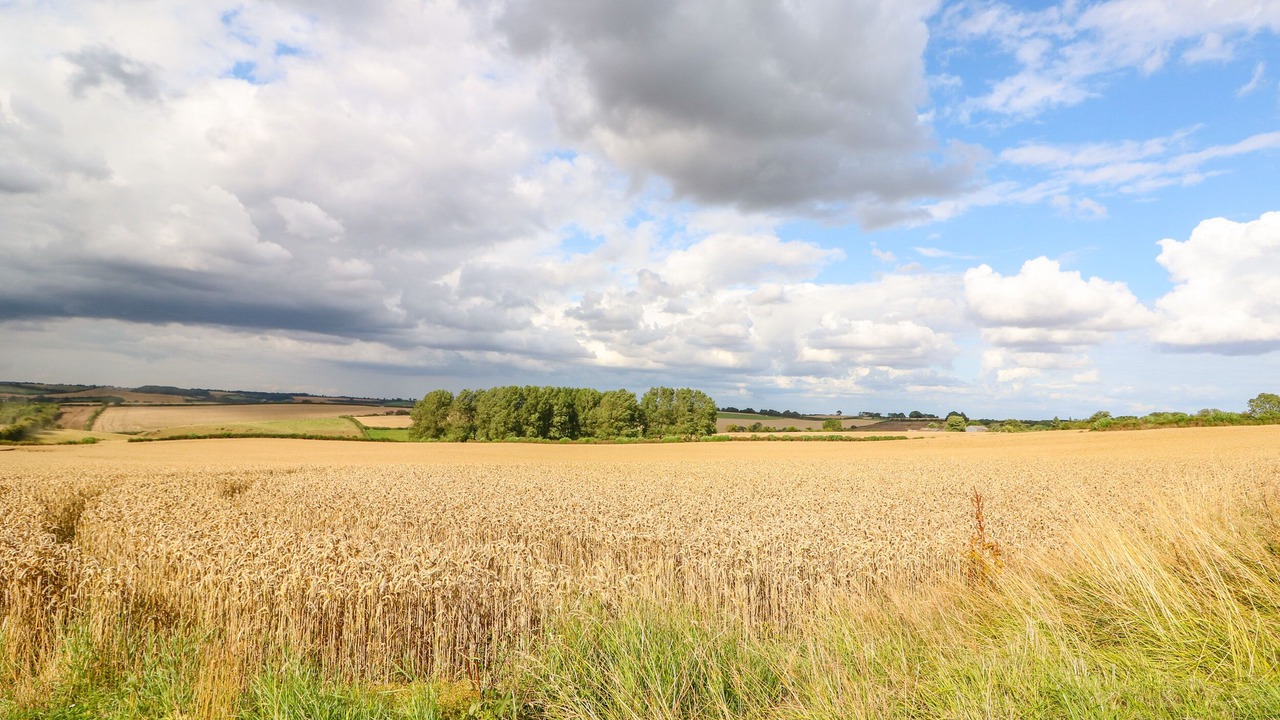 Photo of Others in West Ashby