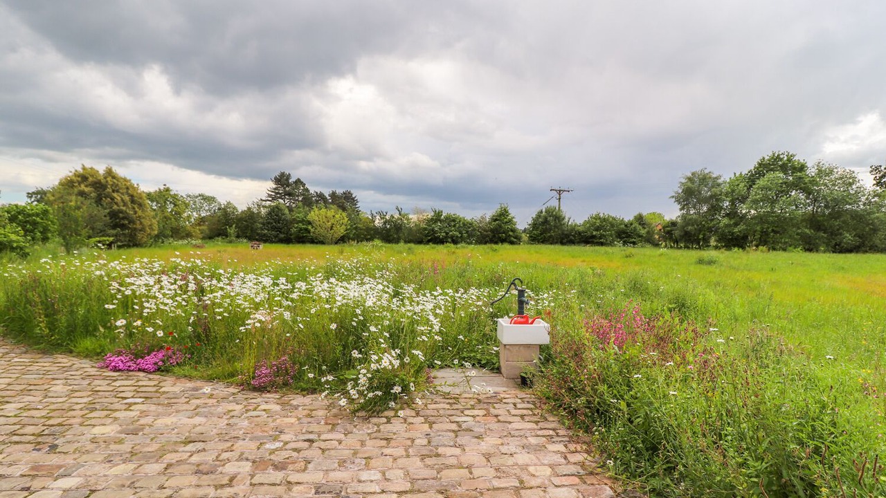 Photo of Others in Norley