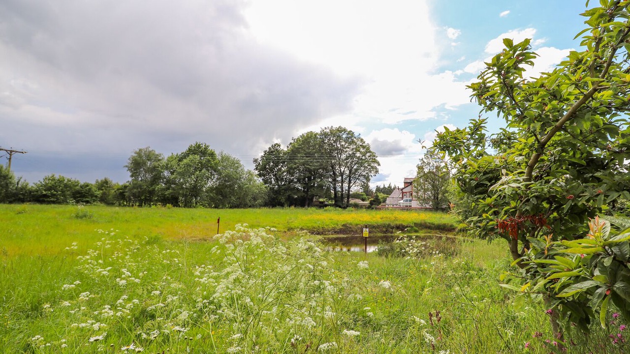 Photo of Others in Norley