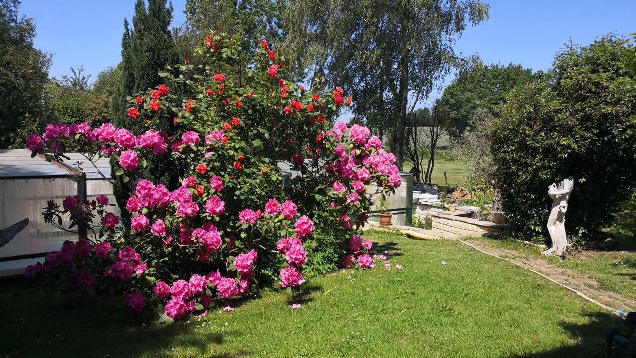 Photo of Outdoor in Secondigny