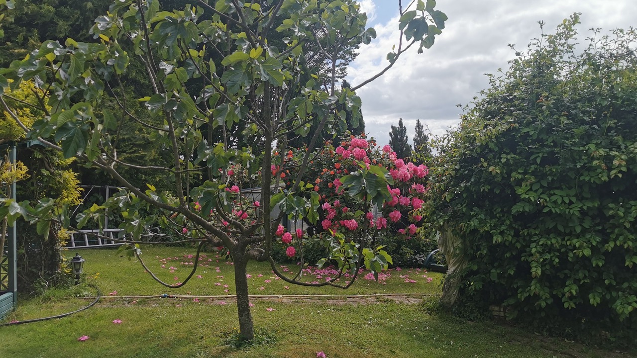 Photo of Outdoor in Secondigny