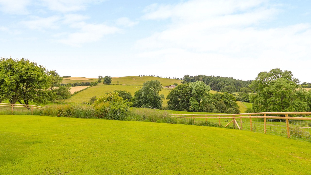 Photo of Others in Knighton